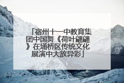 宿州十一中教育集团中国舞《荷叶翩翩》在埇桥区传统文化展演中大放异彩
